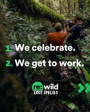 Image post by @rewild on Instagram