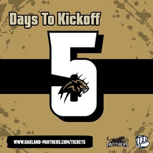 Image post by @panthersifl on Instagram