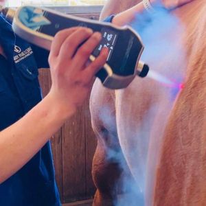 Image post by @gundyparkequine on Instagram