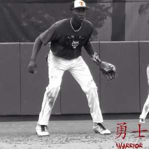 Image post by @rawlingstigers on Instagram