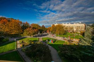 Image post by @stonybrooku on Instagram