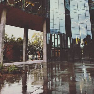 Image post by @nauflagstaff on Instagram
