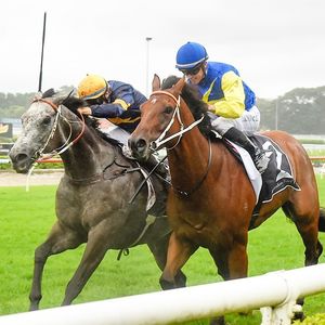 Image post by @australianturfclub on Instagram