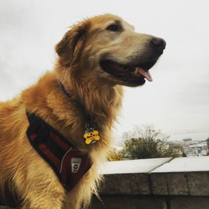 Image post by @amandakl on Instagram
