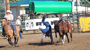 Image post by @mandanrodeo on Instagram