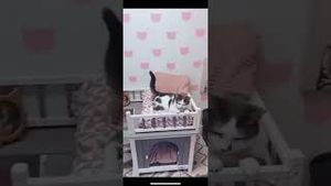 Video post by @newbuild_newlyweds on YouTube