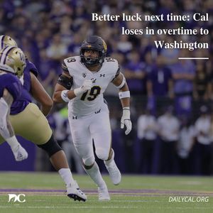 Image post by @dailycalsports on Instagram