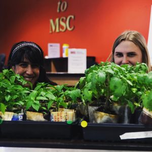 Image post by @umsl on Instagram
