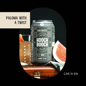 Image post by @drinkhoochbooch on Instagram