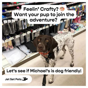 Image post by @jetsetpets on Instagram