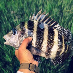 Image post by @toadfishoutfitters on Instagram
