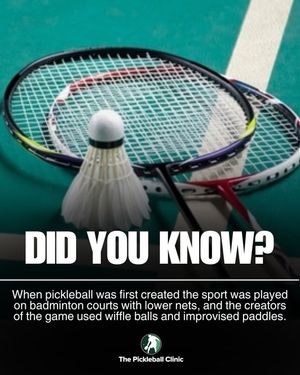 Image post by @thepickleballclinic on Instagram