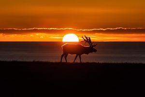 Image post by @nationalparkscollective on Instagram