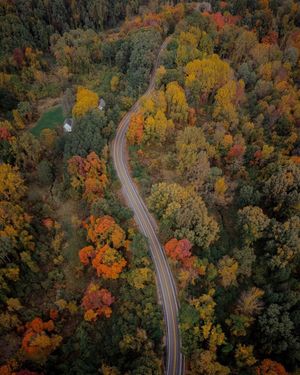 Image post by @n.dambro_ on Instagram