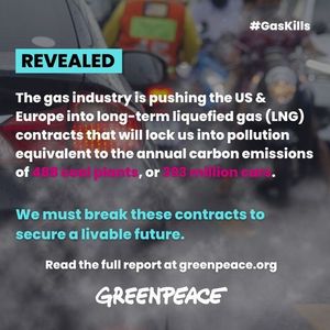 Image post by @greenpeace on Instagram