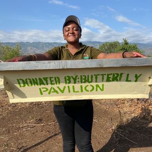 Image post by @butterflypavilion on Instagram
