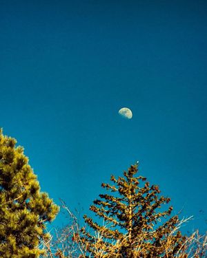 Image post by @nauflagstaff on Instagram