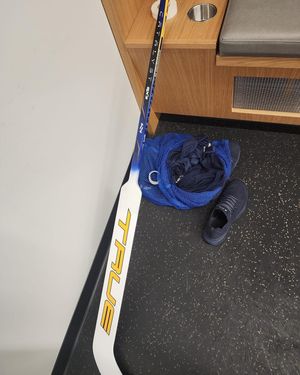 Image post by @goaliegearnerd on Instagram