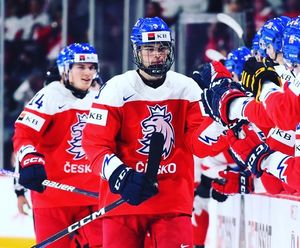 Image post by @geargeekhockey on Instagram