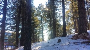 Image post by @nauflagstaff on Instagram