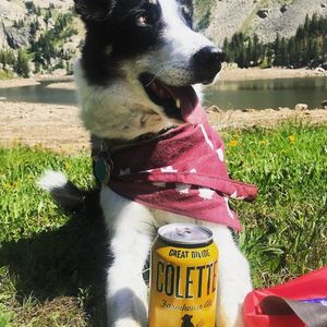 Image post by @greatdividebrew on Instagram
