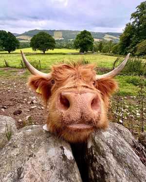 Image post by @visitscotland on Instagram