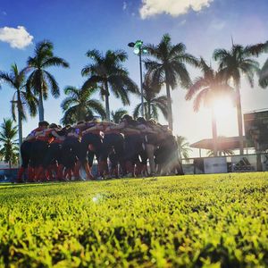 Image post by @fausoftball on Instagram