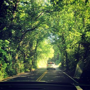 Image post by @jcandsarah on Instagram
