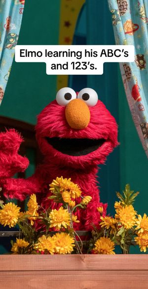 Image post by @sesamestreet on TikTok