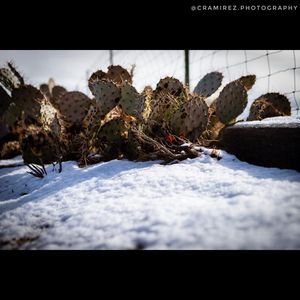 Image post by @cramirez.photography on Instagram