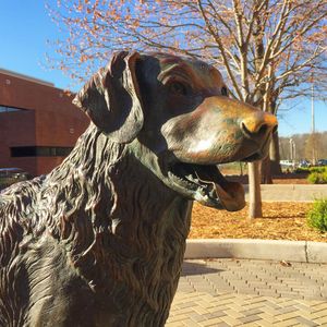 Image post by @umbclife on Instagram
