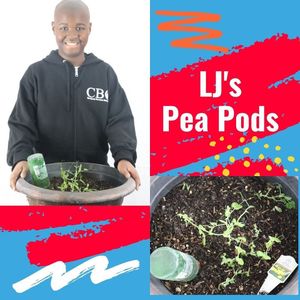 Image post by @squarerootacademy on Instagram