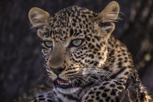 Image post by @natgeo on Instagram