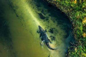 Image post by @natgeo on Instagram
