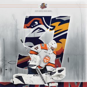 Image post by @swamprabbits on Instagram
