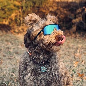 Image post by @knockaround on Instagram