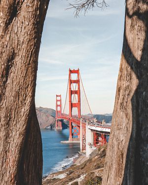 Image post by @theamandabittner on Instagram