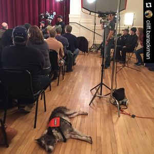 Image post by @animalplanet on Instagram