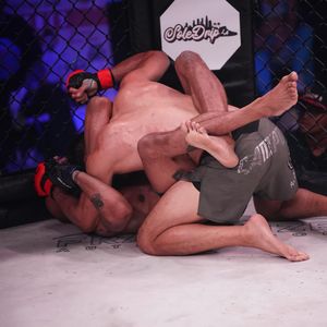 Image post by @upnextfighting on Instagram