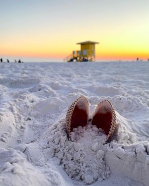 Image post by @visitsarasotacounty on Instagram