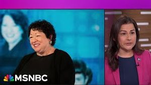 Video post by @msnbc on YouTube