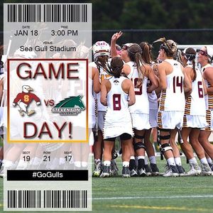 Image post by @suseagulls on Instagram