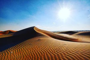 Image post by @mmhammond on Instagram