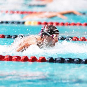 Image post by @stanfordwswim on Instagram