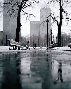 Image post by @mtl_unscripted on Instagram
