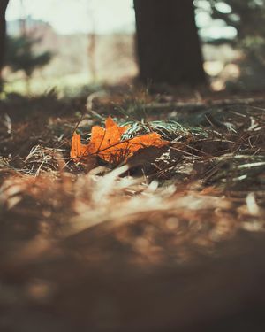Image post by @ninamarie_creative on Instagram