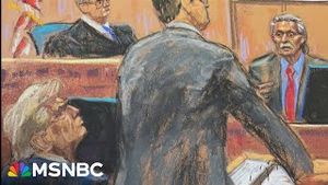 Video post by @msnbc on YouTube