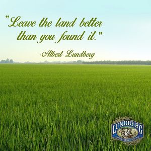 Image post by @lundbergfarms on Instagram