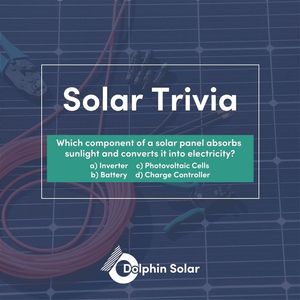 Image post by @DolphinSolarProject on Facebook