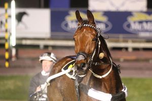 Image post by @NZHorseAmbulanceTrust on Facebook